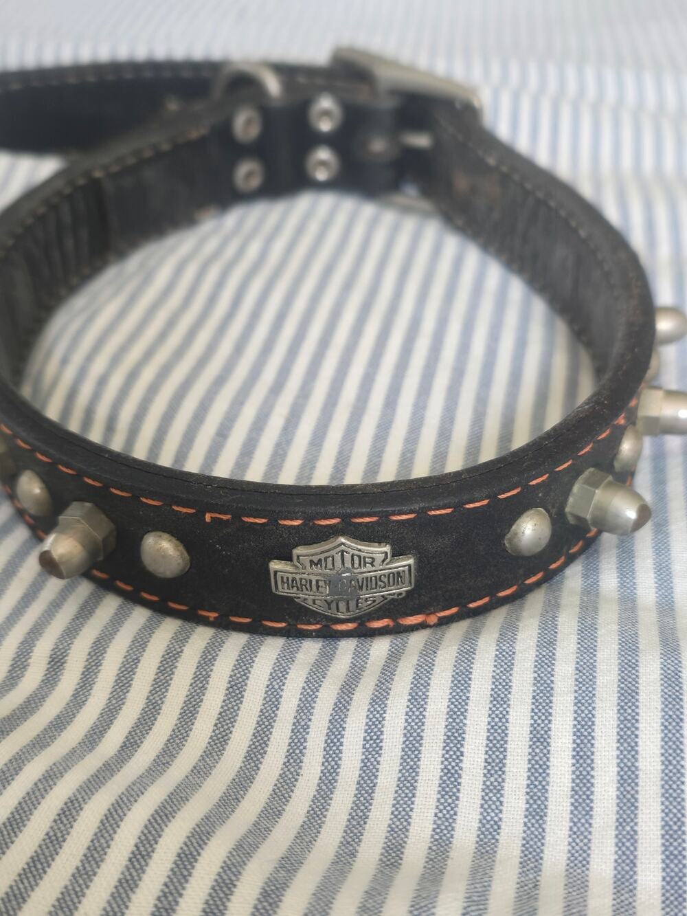 HARLEY Davidson Motor Cycles Studded leather Dog Collar